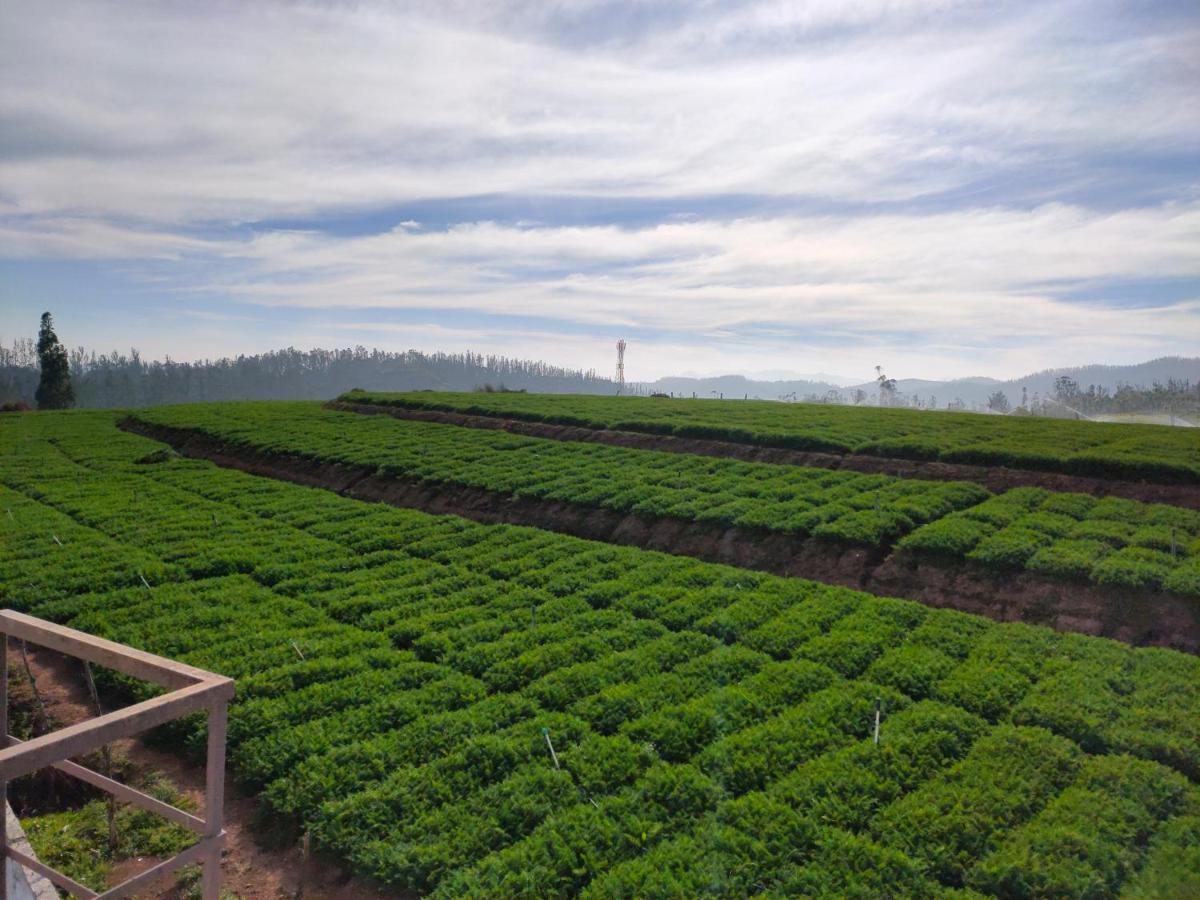 Brown Tree Resorts Ooty Exteriör bild