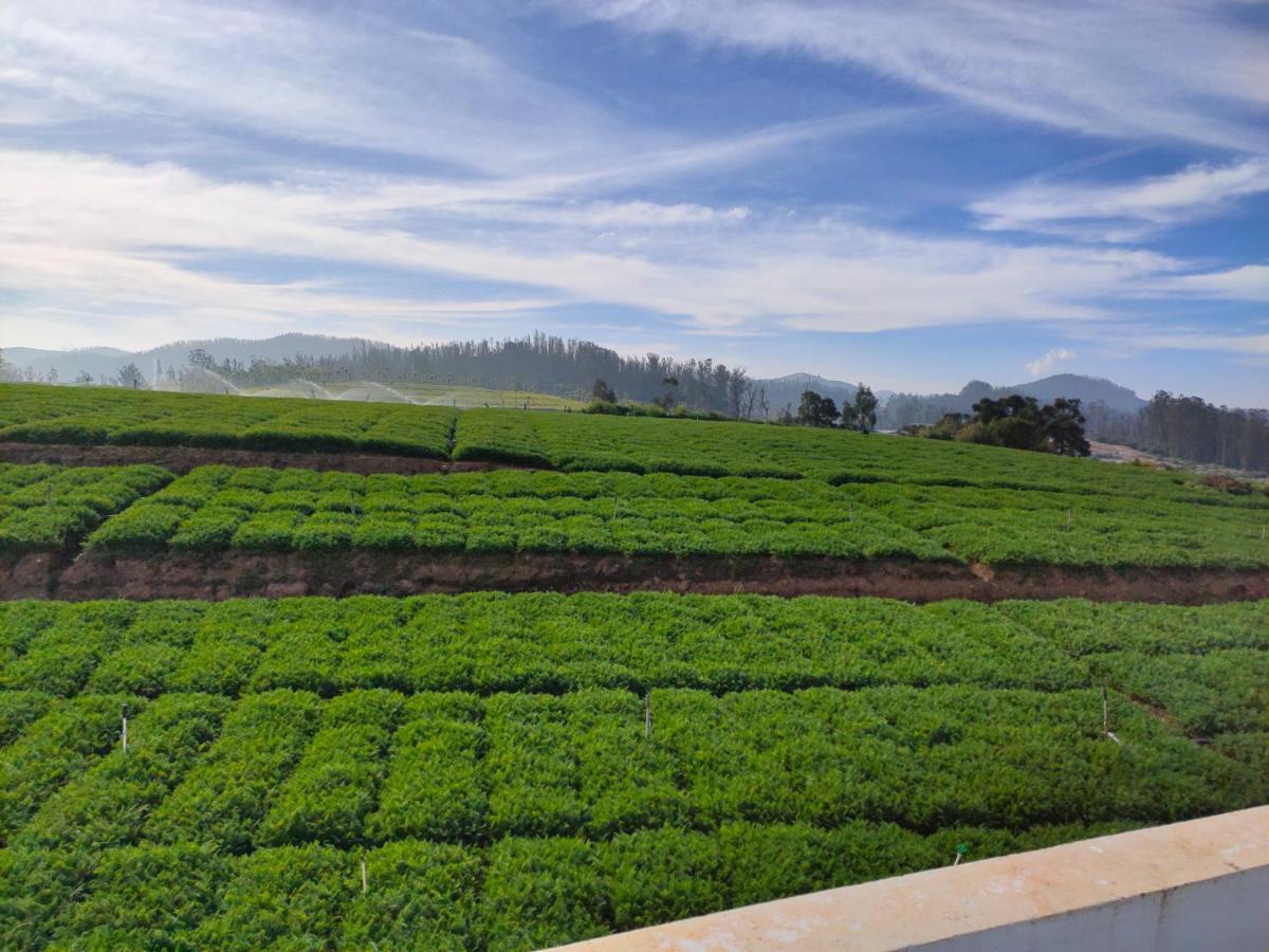 Brown Tree Resorts Ooty Exteriör bild